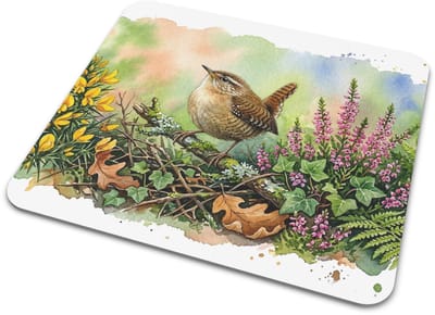 Muismat "Aquarel Series" Winterkoning Vogel Natuur Illustratie - Lief Cadeau voor haar: Vrouw, Vriendin & Collega - Botanisch Bureau Decoratie Thuiswerken Computer Laptop PC Onderlegger Flora & Fauna Muismatje - Heide Varens Werkplek Kantoor