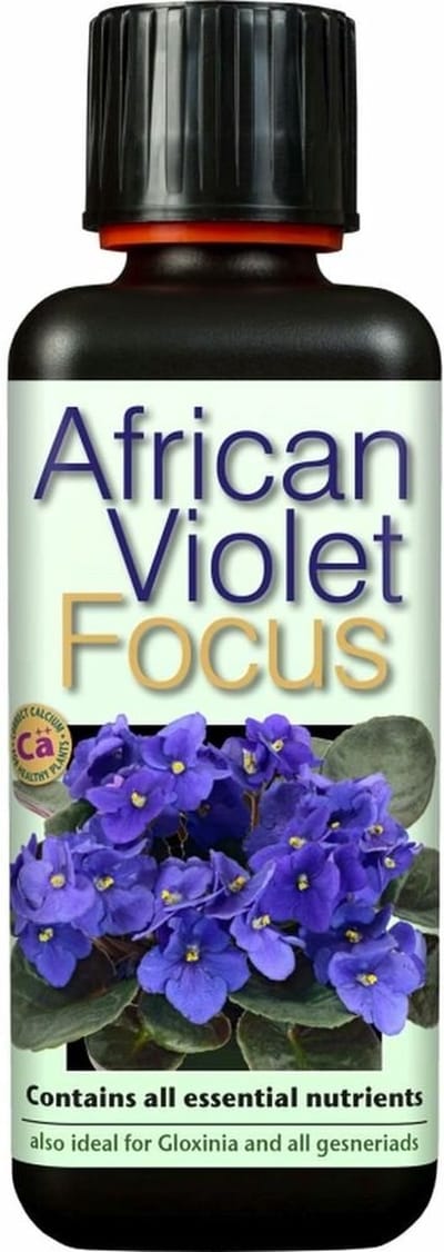GROWTH TECHNOLOGY AFRICAN VIOLET FOCUS 300 ML