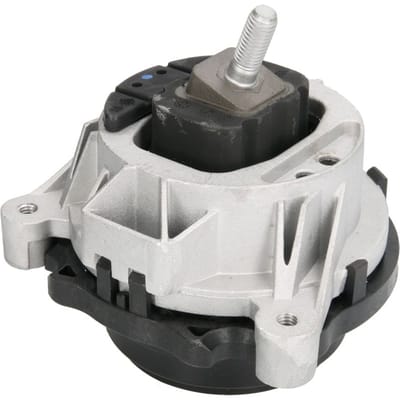 Motorsteun REINHOCH RH11-3067 Links