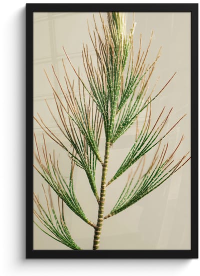 Poster in lijst - Fotolijst 40x60 cm - Posters - Dennentak - Naaldvormige bladeren - Lichtgroen - Posterlijst zwart - Decoratie - Wanddecoratie woonkamer - Muurdecoratie slaapkamer