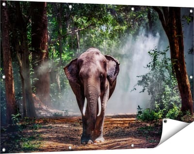 Gards Tuinposter Olifant in het Bos - 120x80 cm - Tuindoek - Tuindecoratie - Wanddecoratie buiten - Tuinschilderij