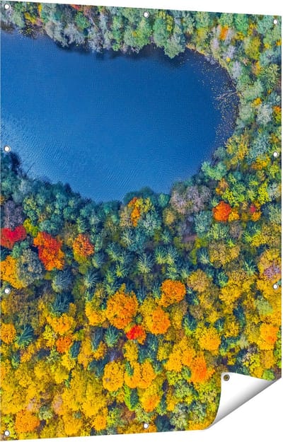 Gards Tuinposter Kleurrijke Bos met Bomen naast een Meer - 90x120 cm - Tuindoek - Tuindecoratie - Wanddecoratie buiten - Tuinschilderij