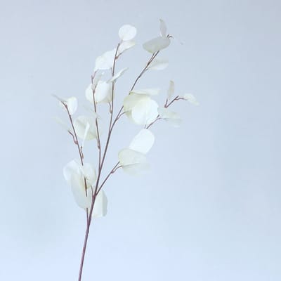 Eucalyptus tak - groot - wit - zijden bloemen - 3 stelen - onderhoudsvrij - 87 cm - kunstbloemen