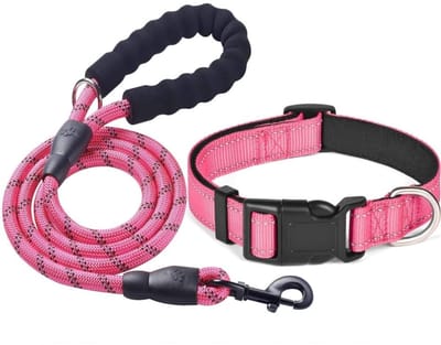 Dailygoods- Hondenhalsband Reflecterend - Verstelbare Hondenriem - Duurzaam Nylon - Voor Middelgrote/Grote Honden - 1,0 cm Diameter - Comfortabel en Veilig - Hondentuig