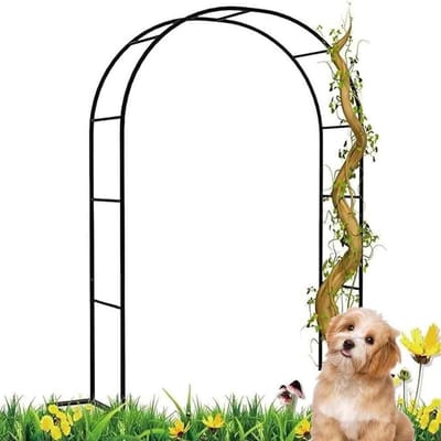 Rozenboog Metaal - Tuinboog Klimplant - Tuin Decoratie - Stabiele Metalen Basis - 1.2 x 2.2 Meter - Wit