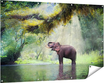 Gards Tuinposter Vrolijke Olifant in het Water - 150x100 cm - Tuindoek - Tuindecoratie - Wanddecoratie buiten - Tuinschilderij