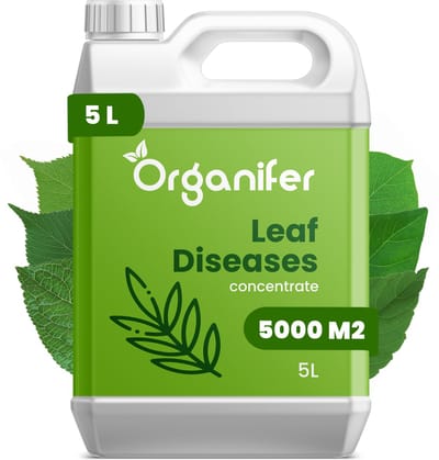 Leaf Diseases Bladziekten Concentraat (5L, 5000m2) - Bladziekten en bladvlekkenziekte – Meeldauw – Meeldauw, roest, bladvlekken, sterroetdauw en gras-schimmel – Organifer