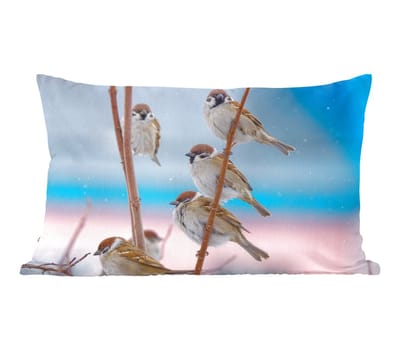 Sierkussens - Kussentjes Woonkamer - 50x30 cm - Vogels - Mus - Dieren - Takken