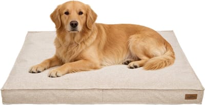 BingoPaw Modern Orthopedisch Hondenkussen XXL - 118 x 89 x 12 cm - Dik Hondenbed - Afneembare en Wasbare Hoes - Waterafstotend & Antislip - Beige