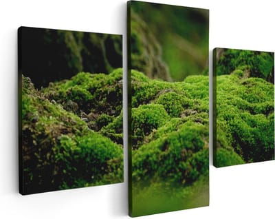 Artaza Canvas Schilderij Drieluik Groen Mos - 90x60 - Foto Op Canvas - Canvas Print