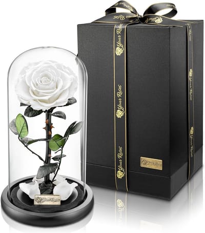 Echte Premium Roos in Glas met Geschenkdoos - Perfect Cadeau voor Liefde en Jubileum
