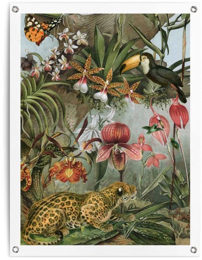 Tuinposter Jungle Bloemen - 80 x 60 - Canvas - REINDERS