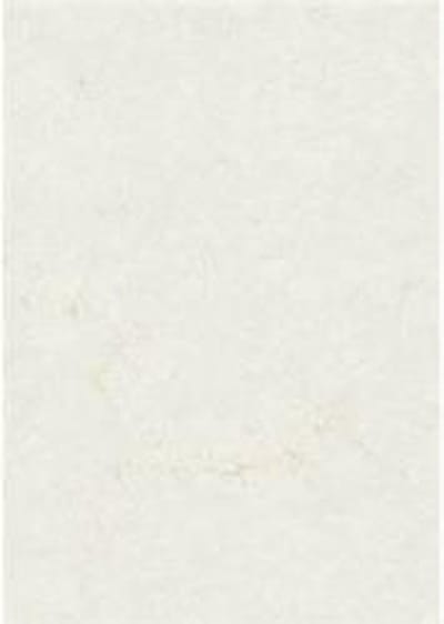 Zanders Olifantshuid Office 88001576 Din A4 110 G/MÂ² 100 Vellen Wit