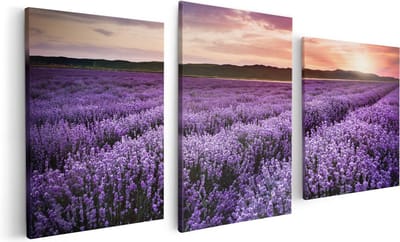 Artaza Canvas Schilderij Drieluik Bloemenveld Met Paarse Lavendel - Bloemen - 120x60 - Foto Op Canvas - Canvas Print