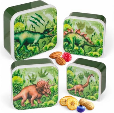 Dailygoods- Lunchdozen 4-delig - BPA-vrij Kunststof - Ideaal voor Picknick - Opbergruimte voor Snacks - Makkelijk te Reinigen - Kleurrijk Design - Lunchbox