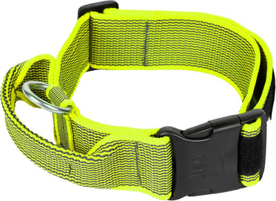 Halsband met Handvat en Veiligheidsslot voor Honden - Verwisselbare Labels, 50 mm (49-70 cm), Neon-Grijs