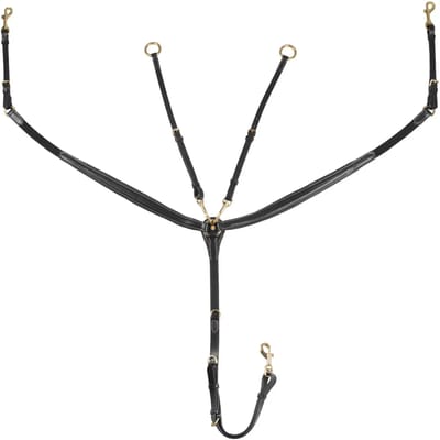Halsband voor paard van gelooid leer met stalen gespen Equestro New