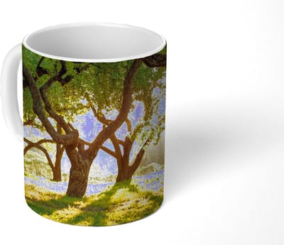 Mok - Koffiemok - Bomen - Natuur - Zon - Mokken - 350 ML - Beker - Koffiemokken - Theemok
