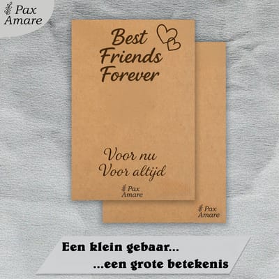 BFF Ketting voor 3 'Best Friends Forever' - Magnetisch Glitter Hartje - Vriendschapsketting op Cadeau Kaartje - 45cm + 5cm verstelbaar - Zilverkleurig - Best Friends Hanger - Pax Amare