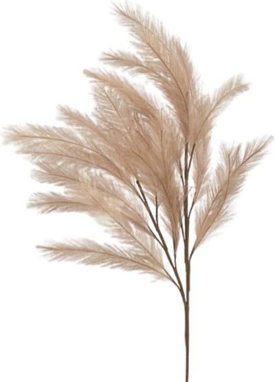 Créme pluimen - Pampas Pluimen - 3 stuks - Kunstbloemen - Pluimen naturel - Beige - Siertakken