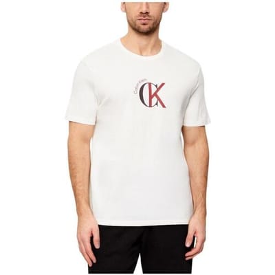 Calvin Klein Ss 30s 2tone Tee White Greige Taglia: S | T-shirt stampate Outlet | Uomo | Bianco