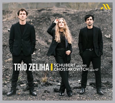 Trio Zeliha - Schubert Op. 100 / Chostakovitch (CD)