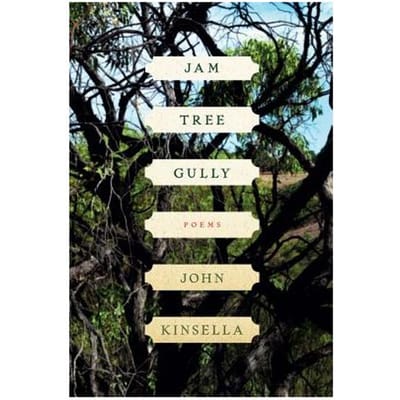 Jam Tree Gully - Kinsella, John (Cambridge Univer