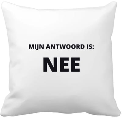 Akyol - mijn antwoord is nee Kussen hoes - Collega - cadeau collega - cadeau - kantoorhumor - grappige cadeau - 40 bij 40 cm