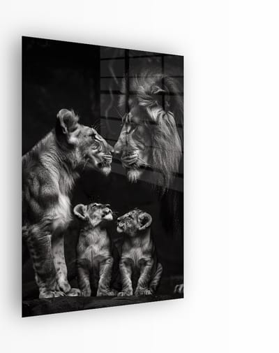 Indoorart - Glasschilderij Leeuwen Band 40x60 CM - Afbeelding op plexiglas - Inclusief montagemateriaal