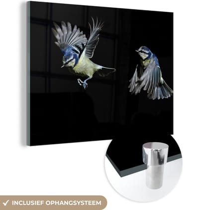 MuchoWow® Glasschilderij 160x120 cm - Schilderij acrylglas - Vogel - Veren - Portret - Foto op glas - Schilderijen