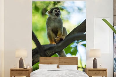Behang - Fotobehang Doodskopaapje in een hoge boom - Breedte 200 cm x hoogte 300 cm