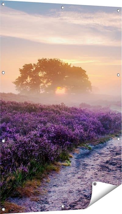 Gards Tuinposter Pad in de Weide van de Veluwe - 80x120 cm - Tuindoek - Tuindecoratie - Wanddecoratie buiten - Tuinschilderij