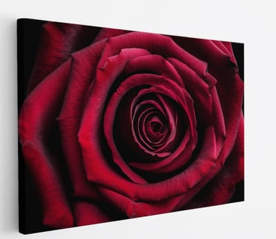 Saammp Canvas Schilderij - Rode Roos Close-Up - Natuur - Abstract - 45x30 - Foto op canvas - Wanddecoratie - Muurdecoratie Woonkamer - Kantoor Decoratie