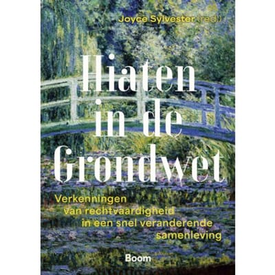 Hiaten In De Grondwet - Joyce Sylvester