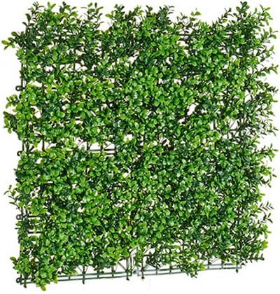 Decoratieve plant Groen Plastic (50 x 5 x 50 cm)