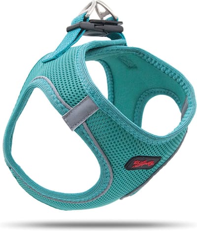 Tailpetz - Air-Mesh Harness - Hondenharnas - Hondentuig - Hondentuigje Kleine Hond - Y Tuig Hond - Harnas Hond - Anti Trek Tuig Hond - Reflecterend - Maat 3XS - Emerald