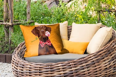 Buitenkussens - Tuin - Hond - Oranje - Roos - Valentijn - 50x30 cm