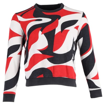Alexander McQueen trui met print in veelkleurig katoen