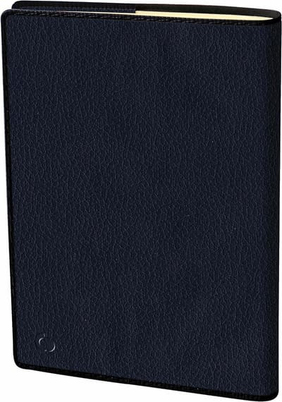 Agenda 13 maanden - Planners Kalenders - Dagelijkse Planning - Genaaide Binding - 21 x 27 cm - Blauw