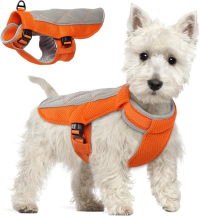 Famanu - Honden Koelvest, Ademend Huisdierkleding met Verstelbare Nek en Buik, Reflecterend, Comfortabel, Koelend, Verstelbaar, Oranje, Medium, Zomer, Volwassen, 20 Pond+