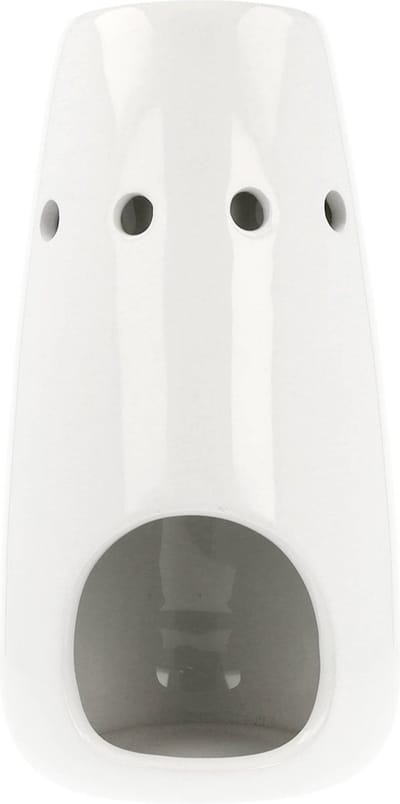 Scentchips® Cesar Wit waxsticksbrander