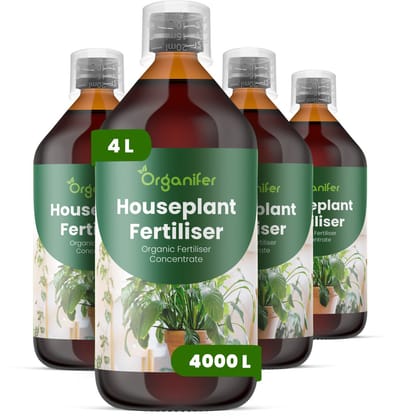 Vloeibare Meststof Voor Kamerplanten 4X1 Voor 4000 L - Npk 2-1-8 - Ondersteunt Een Evenwichtige Groei Van Kamerplanten - Versterkt Wortelactiviteit En Verbetert Nutriëntenopname -Verbetert Bladkleur, Dichtheid En Stevigheid - Organifer