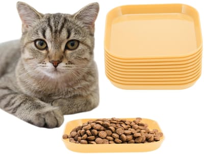 ZEYNOMAX- Kattenbakje 10 Stuks - Kattenvoerbak - Kattenschaal - Platte Eetbak - Milieuvriendelijk PP-Materiaal - Veilig voor Kittens