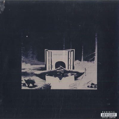 Vinyle LP EARL SWEATSHIRT - I Don't Like Shit, I Don't Go Outsi 88875069271 Columbia, Tan C 2015 US Rap & Hip-Hop/R&B
