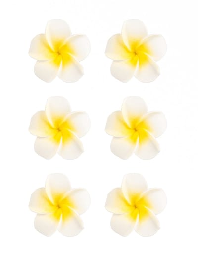 HOBI - 6 witte kunstmatige monoi bloemen 5 cm van zelfklevend schuim