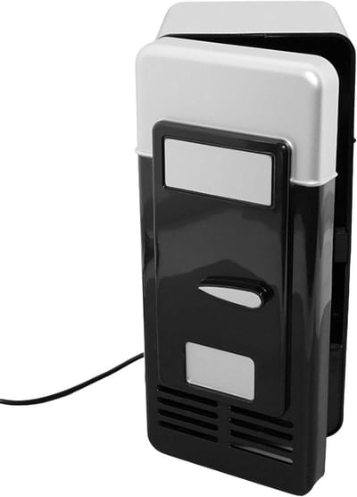Mini Koelkast - Warme Koude Box - Drank Koelen - Stil Design - 2 Liter - Zwart