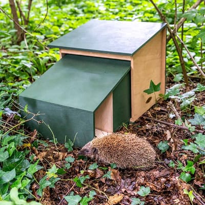CJ Wildlife - Egelhuis XL - Veilig en duurzaam schuilhuis voor egels - FSC gecertificeerd hout - 54,5 x 39 x 36 cm - Met roofdierbescherming - Geen montage nodig