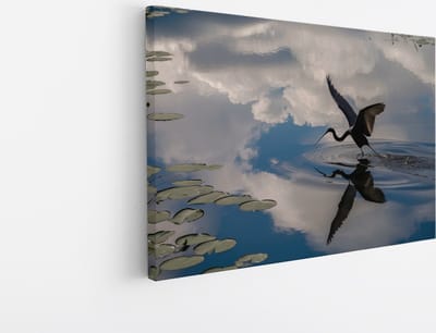 Saammp Canvas Schilderij - Reiger - Dieren - Bloemen - 30x20 - Foto op canvas - Wanddecoratie - muurdecoratie Woonkamer - Slaapkamer decoratie - Canvas Print