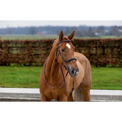 Anatomisch ruiterbit Trust Hickstead Hackamore