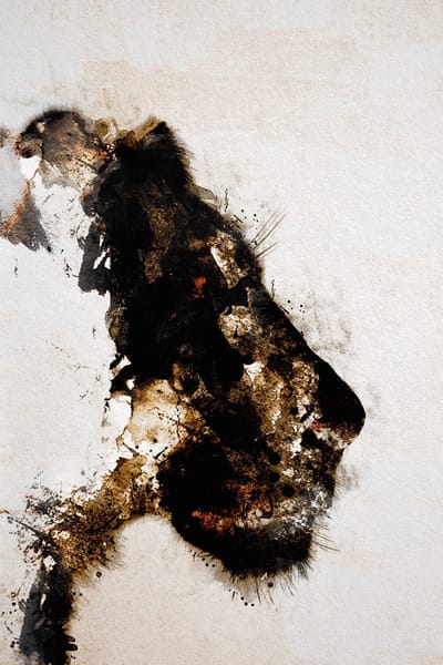 Poster op papier - 40 x 60 cm - Abstracte leeuwin contour kunstwerk - PosterJunkie